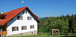 Ferienhaus Bayerischer wald